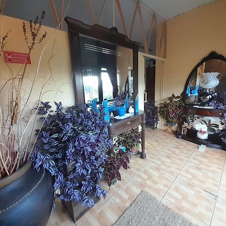 Hotel Gite Cantinho Davo Campea Luaran gambar